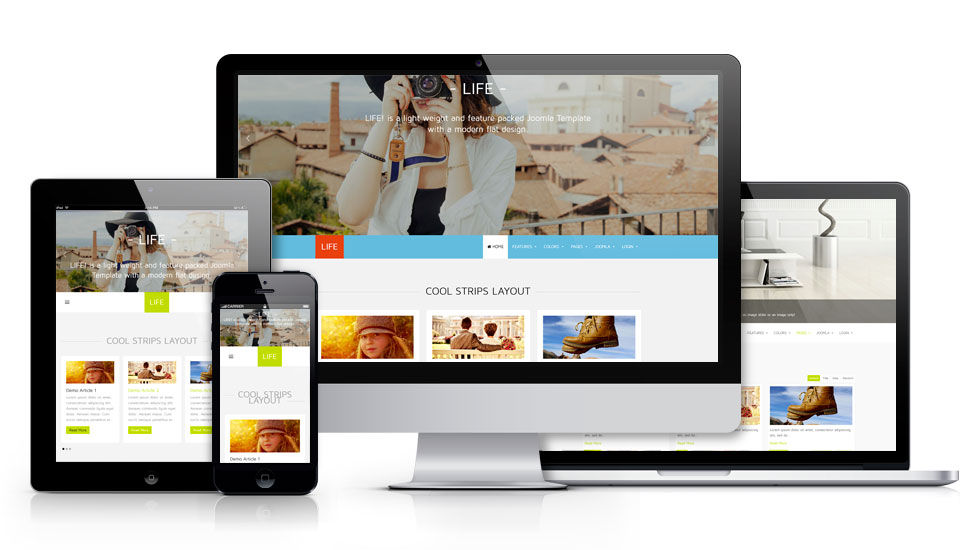 Joomla Theme
